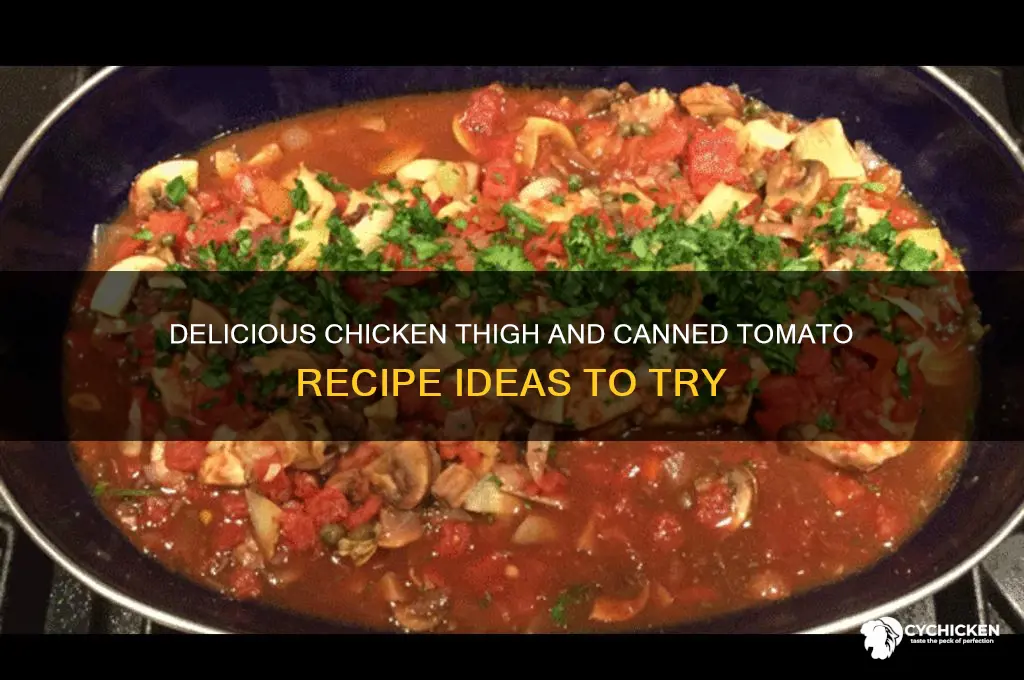 what can i make with chicken thighs and canned tomatoes