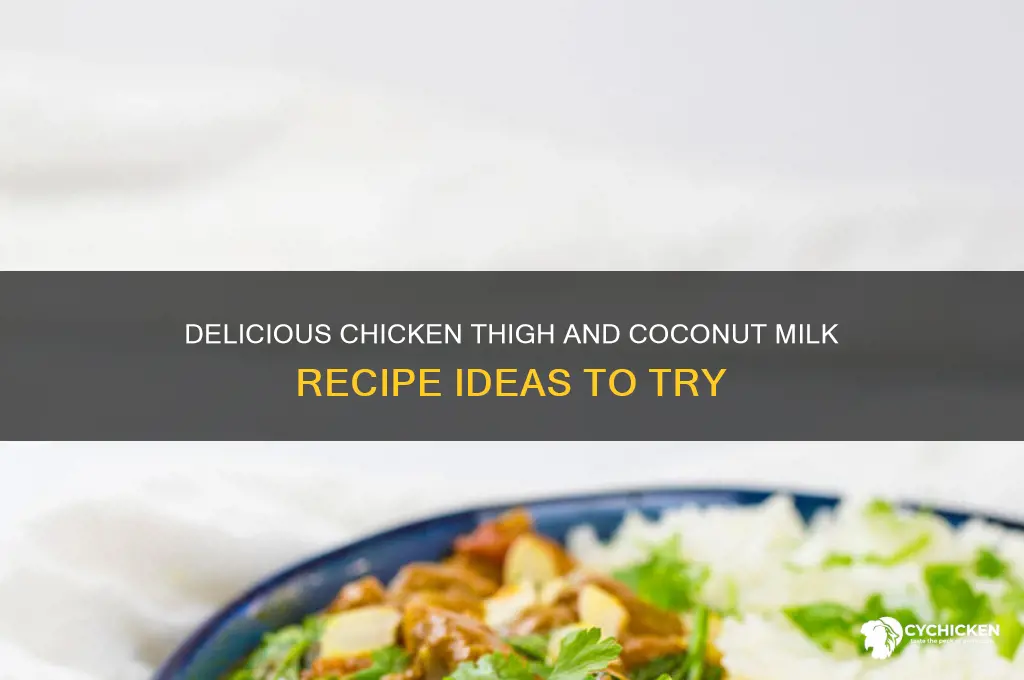 what can i make with chicken thighs and coconut milk