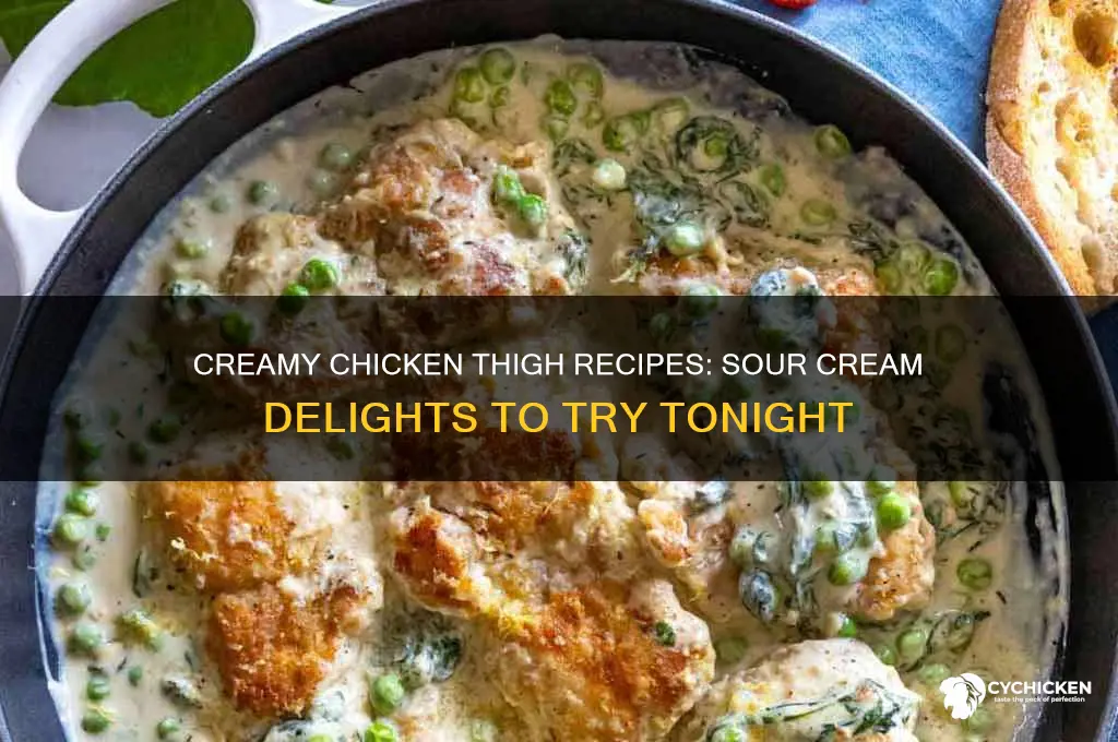 what can i make with chicken thighs and sour cream