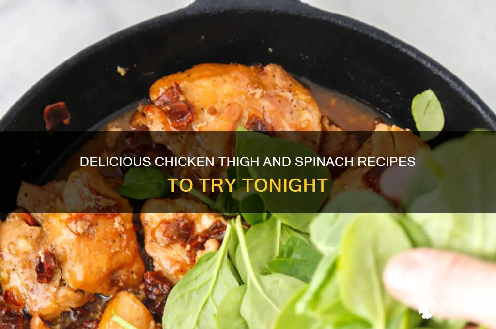 what can i make with chicken thighs and spinach