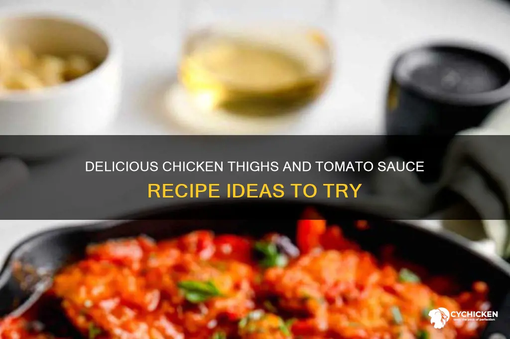 what can i make with chicken thighs and tomato sauce