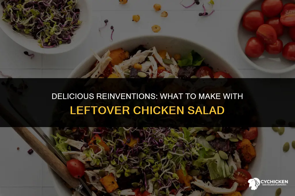 what can i make with leftover chicken salad