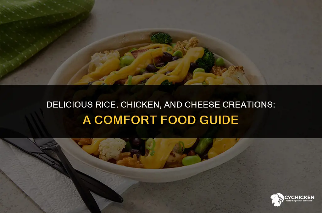 what can i make with rice chicken chicken broth cheese