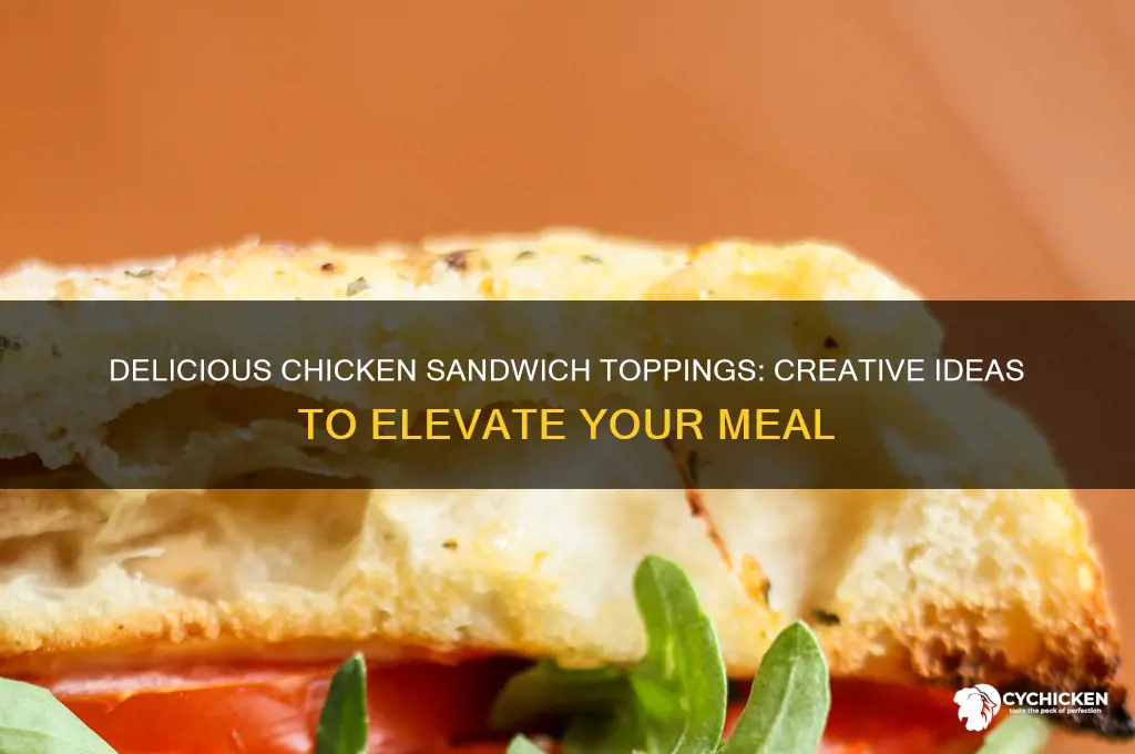 what can i put on a chicken sandwich