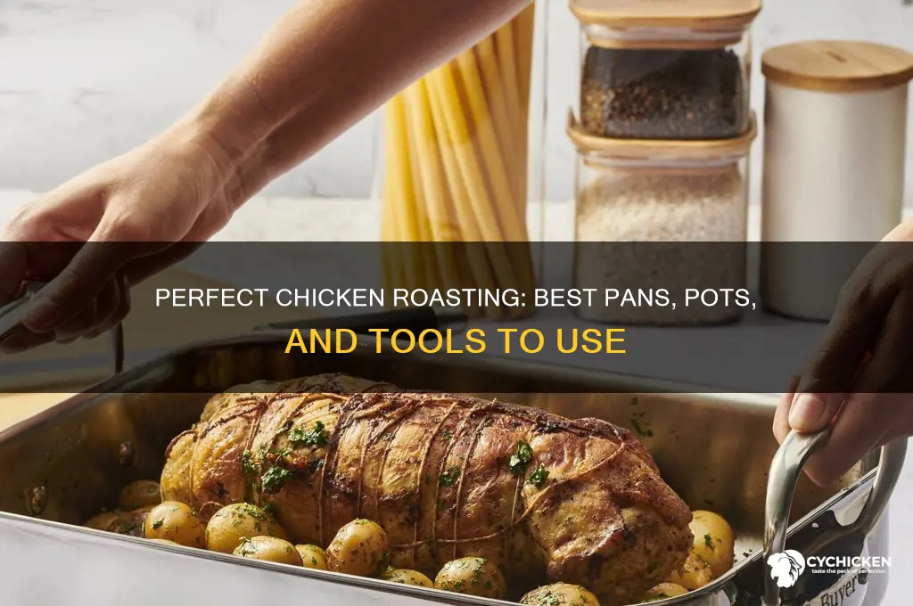 what can i roast a chicken in