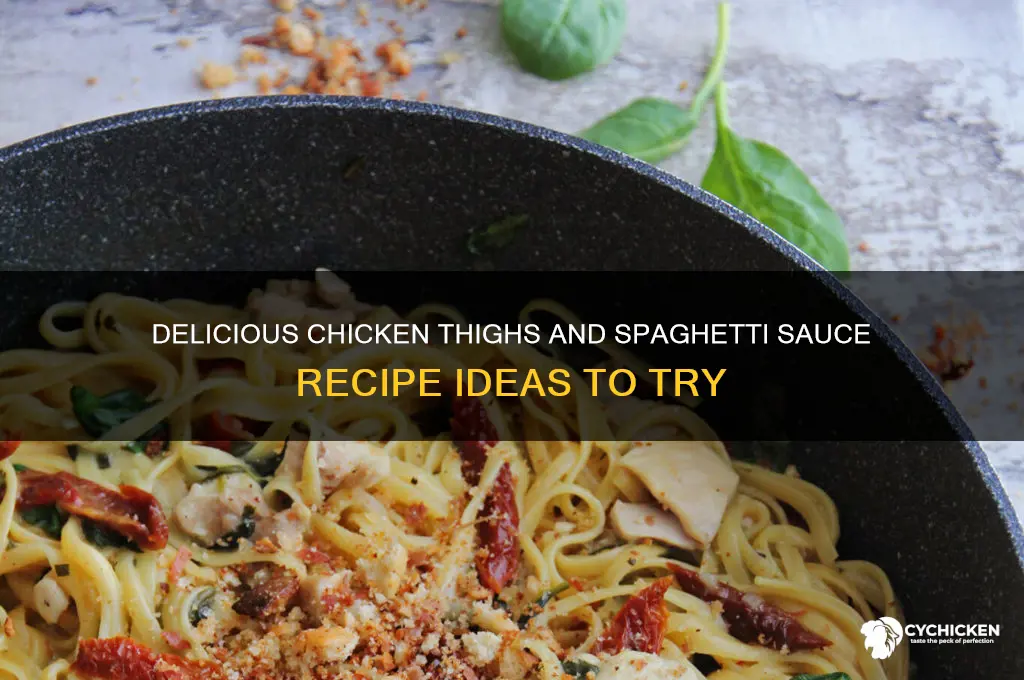 what can you cook with chicken thighs and spaghetti sauce