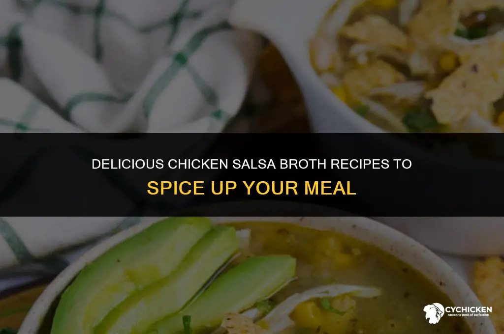 what can you make with chicken salsa and broth