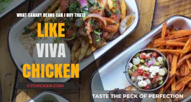 Viva Chicken-Style Canary Beans: Top Picks for a Flavorful Match
