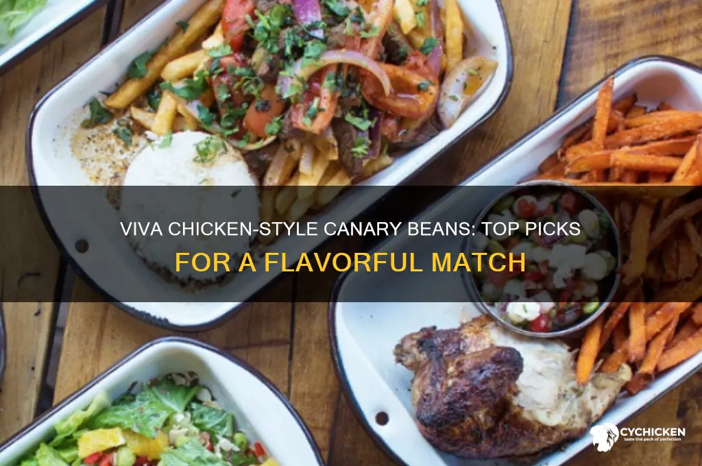 what canary beans can i buy thats like viva chicken