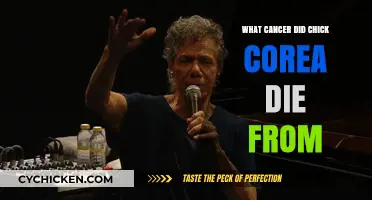 Chick Corea's Cancer Battle: Understanding the Cause of His Death