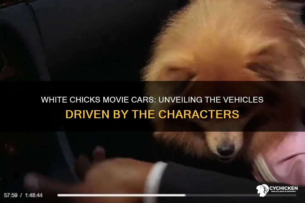 what car do they drive in white chicks