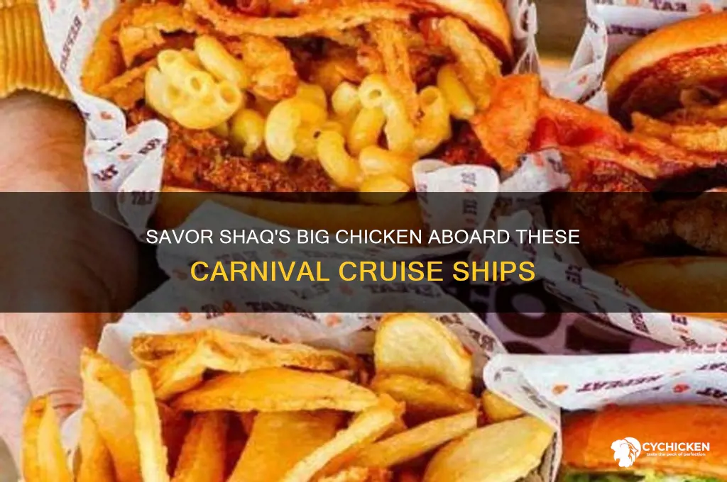 what carnival ships have shaq