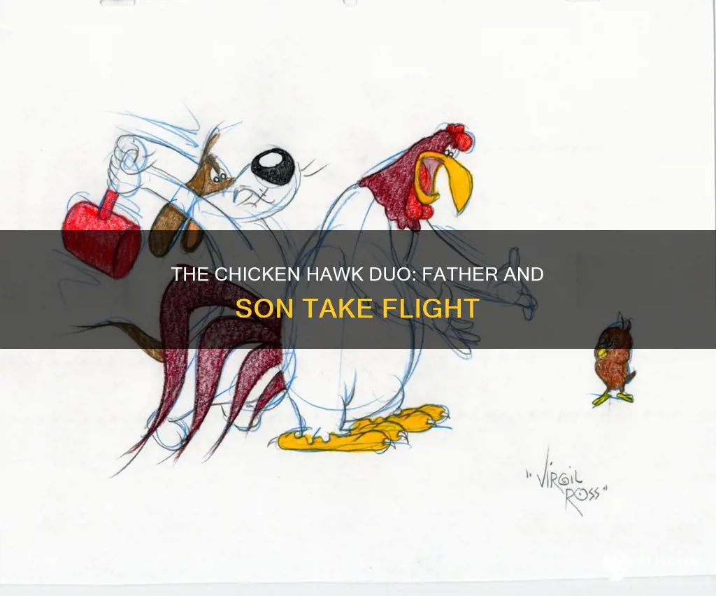 what cartoon had a father and son chicken hawks
