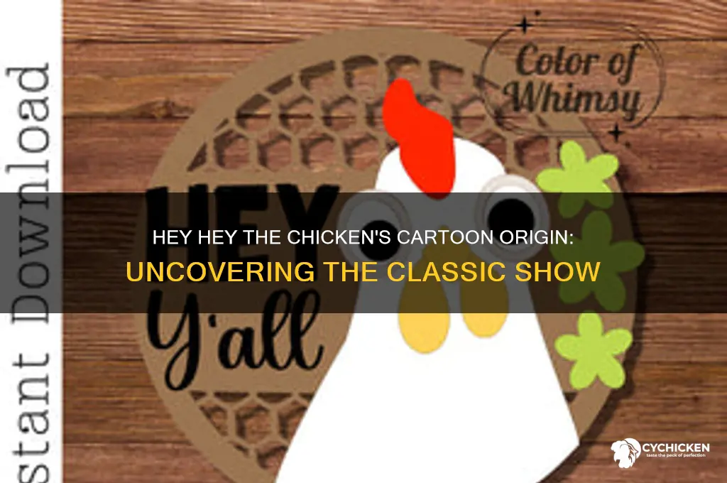 what cartoon is hey hey the chicken from