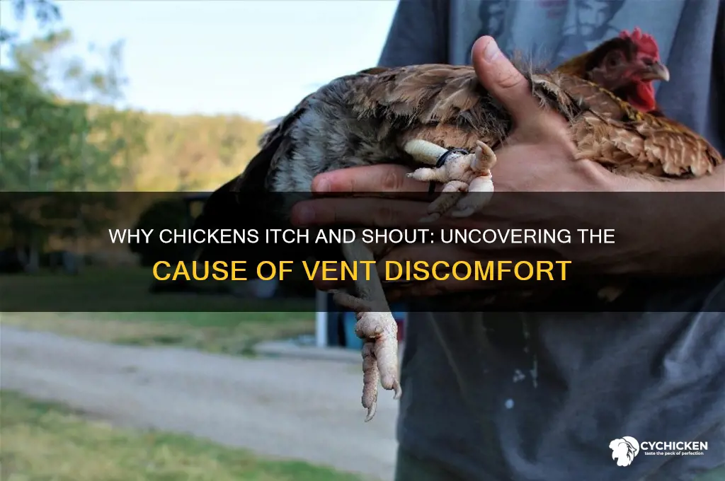 what cause itching shouting out of chick butt