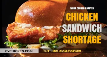 Why Popeyes' Chicken Sandwich Disappeared: The Viral Craze Explained