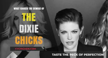 The Dixie Chicks' Downfall: Unraveling the Controversial Decline of a Country Trio