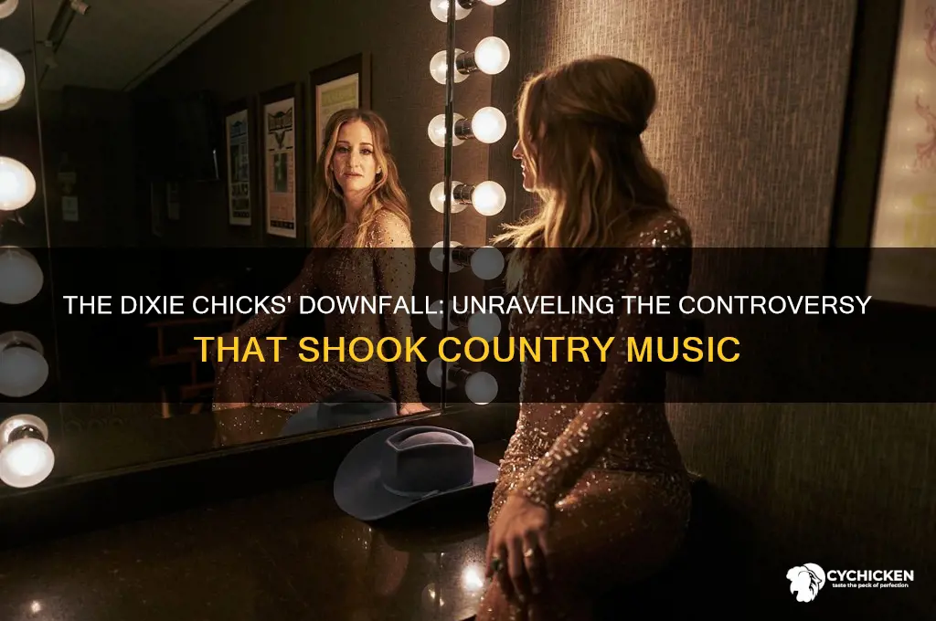 what caused the dixie chicks to fall