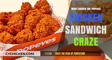 The Popeyes Chicken Sandwich Craze: Unraveling the Viral Sensation