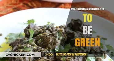 Why Chicken Livers Turn Green: Causes and Concerns Explained
