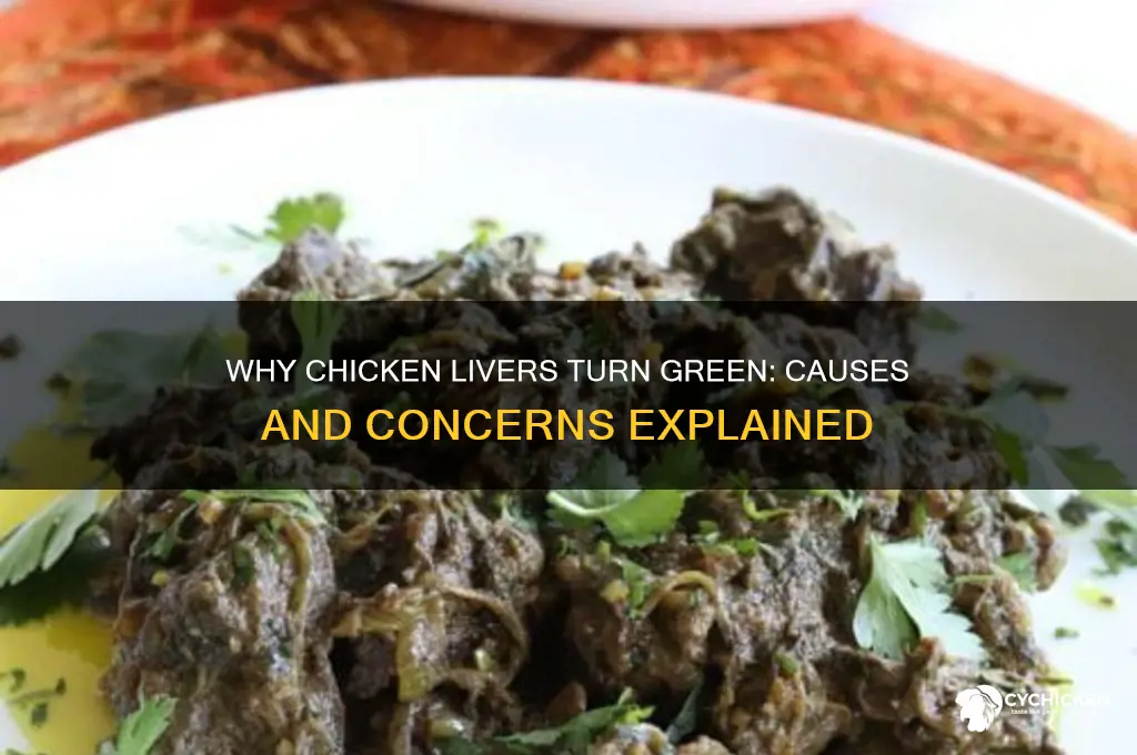 what causes a chicken liver to be green