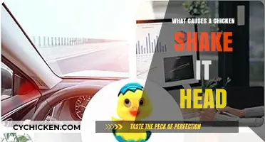 Why Chickens Shake Their Heads: Common Causes and Solutions Explained