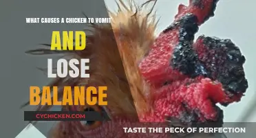 Chicken Ailments: Vomiting and Loss of Balance