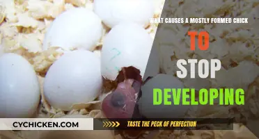 Why Do Embryos Fail to Develop?