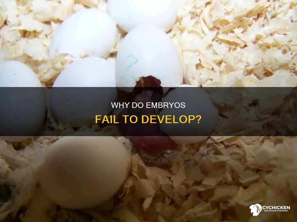 what causes a mostly formed chick to stop developing