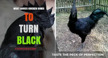 Why Chicken Bones Turn Black: Causes and Culinary Insights