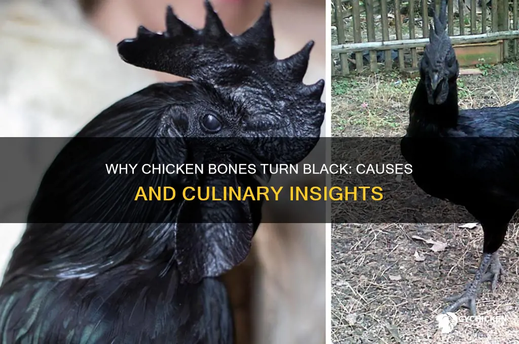 what causes chicken bones to turn black