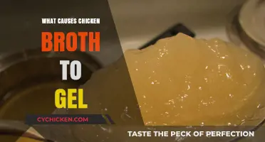 Unveiling the Science Behind Chicken Broth's Gelatinous Transformation