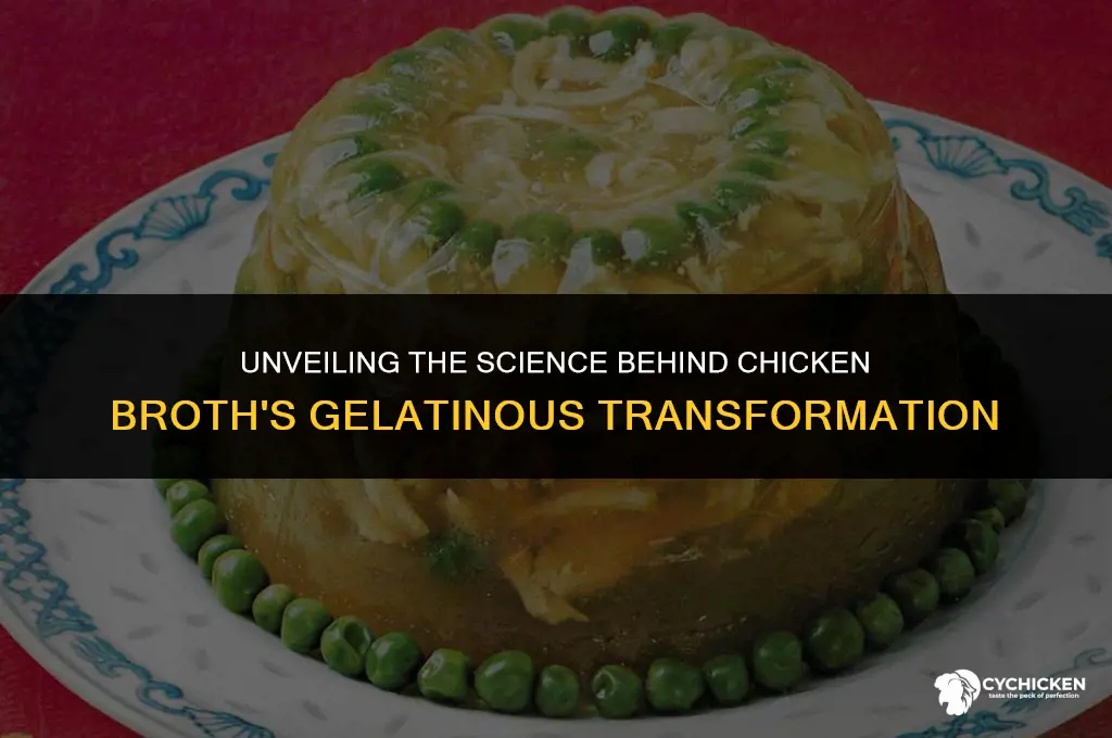 what causes chicken broth to gel