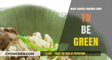 Why Chicken Liver Turns Green: Causes and Concerns Explained