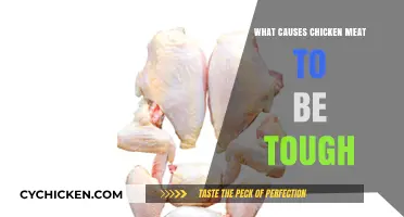 Why Your Chicken Meat is Tough: Common Causes and Solutions