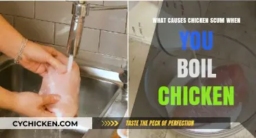 Why Chicken Scum Forms When Boiling: Causes and Prevention Tips