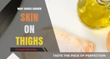 Understanding Chicken Skin on Thighs: Causes and Solutions Revealed