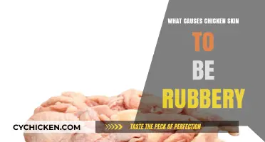 Why Chicken Skin Becomes Rubbery: Causes and Prevention Tips