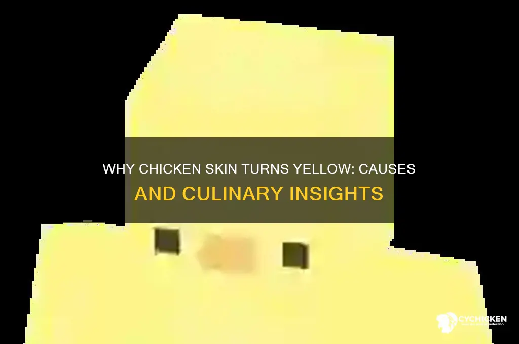 what causes chicken skin to be yellow