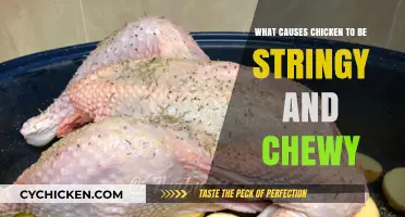 Why Your Chicken is Stringy and Chewy: Common Cooking Mistakes