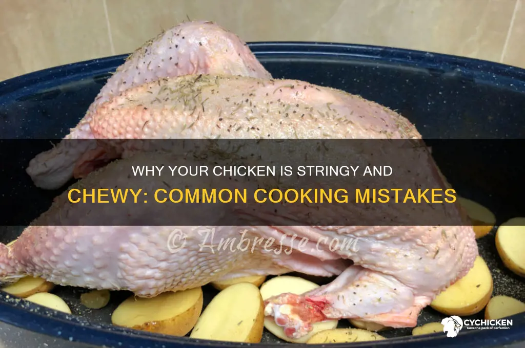 what causes chicken to be stringy and chewy