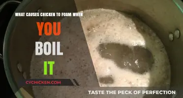 Why Does Boiled Chicken Foam?