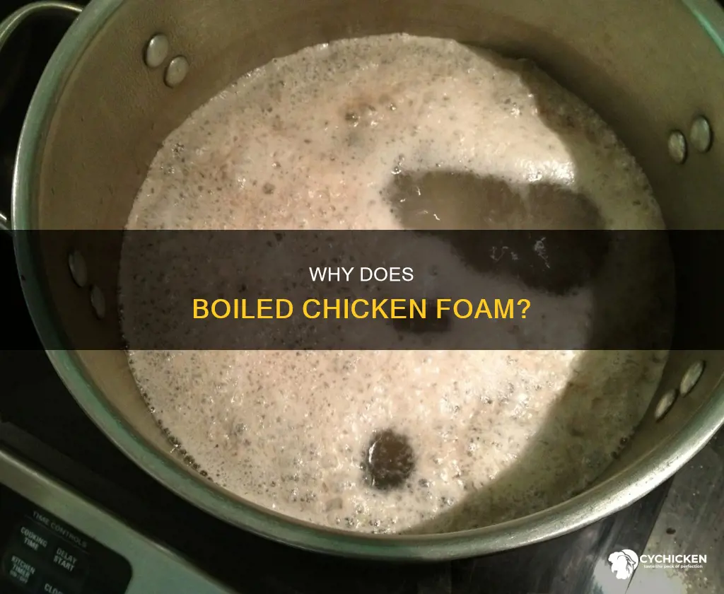 what causes chicken to foam when you boil it
