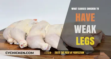 Understanding Weak Legs in Chickens: Causes and Prevention Tips