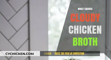Unveiling the Mystery: What Causes Chicken Broth to Turn Cloudy?