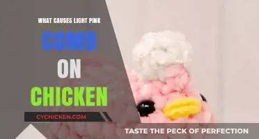 Understanding Light Pink Comb Causes in Chickens: A Comprehensive Guide