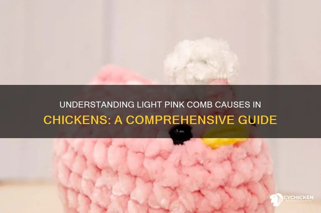 what causes light pink comb on chicken