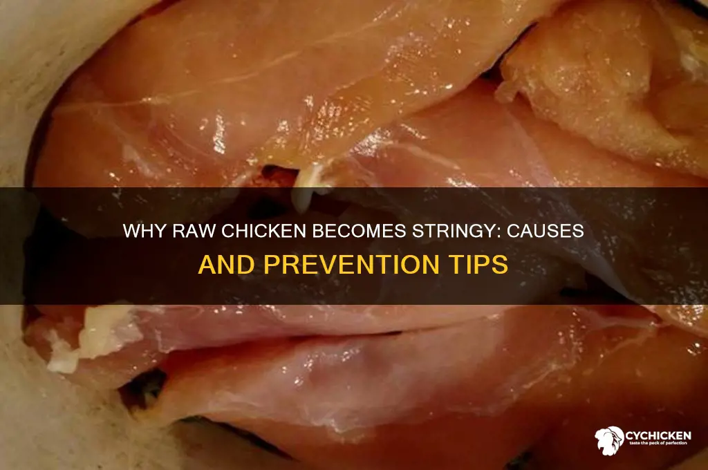 what causes raw chicken to be stringy