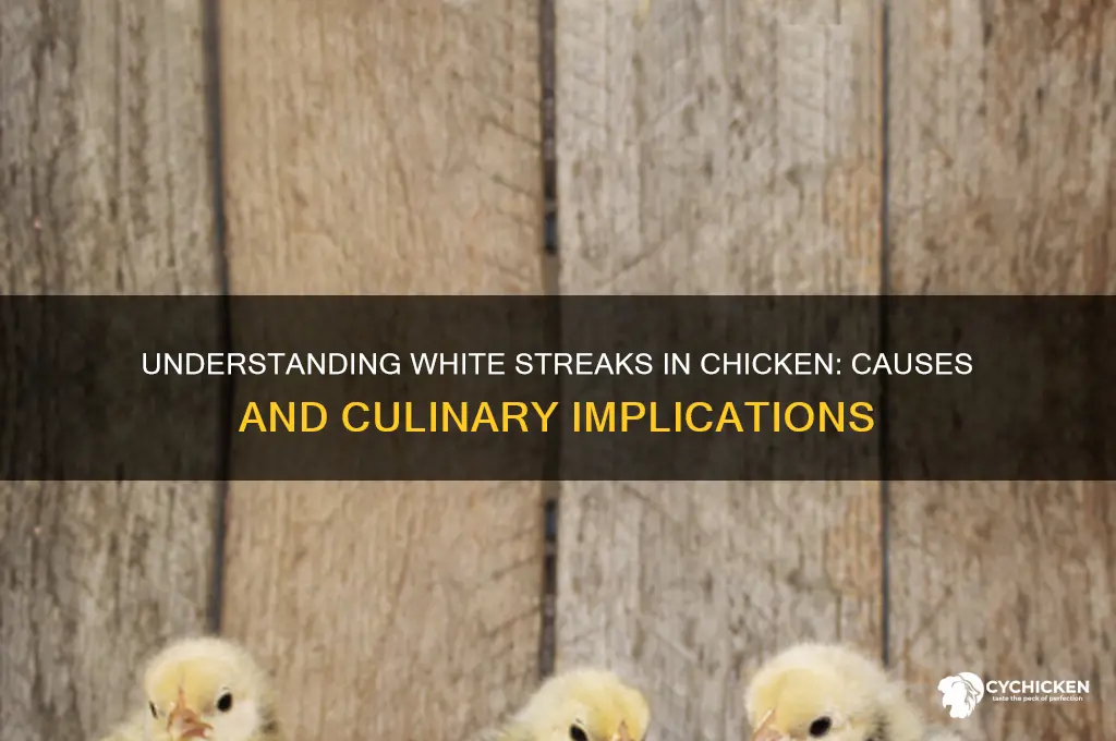 what causes white streaks in chicken meat