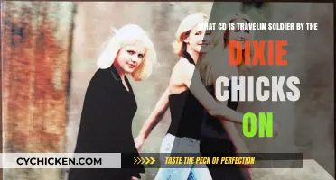 Travelin' Soldier: Which Dixie Chicks Album?